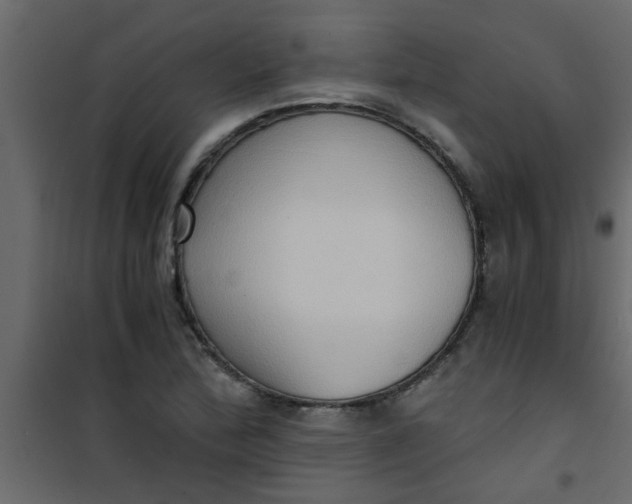 X0000101121172200807171953