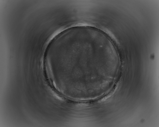 X0000101121173200807171953