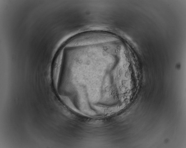 X0000101121174200807171953