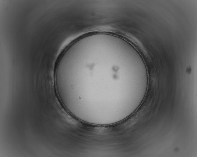 X0000101121176200807171953