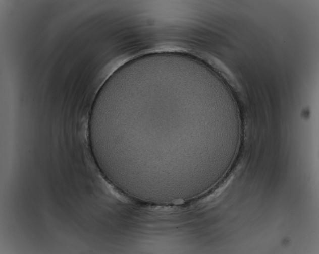 X0000101121177200807171953