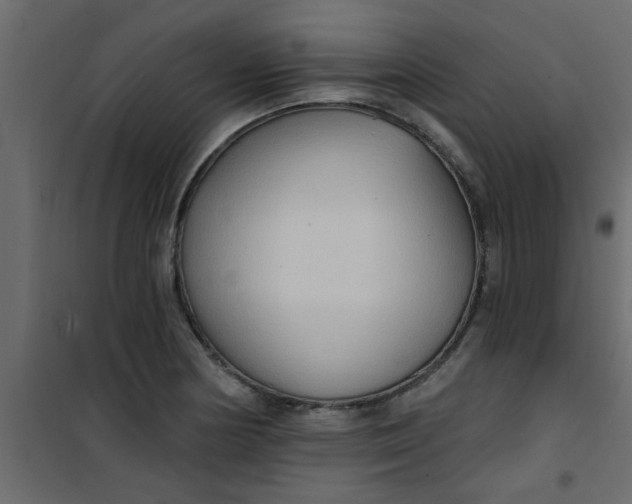 X0000101121178200807171953