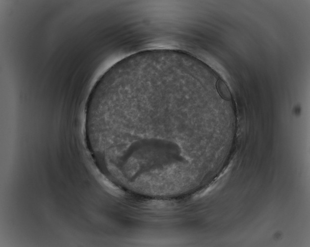 X0000101121179200807171953