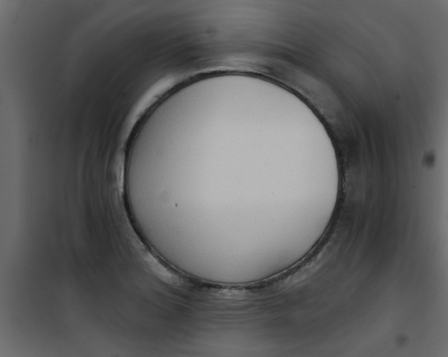 X0000101121180200807171953