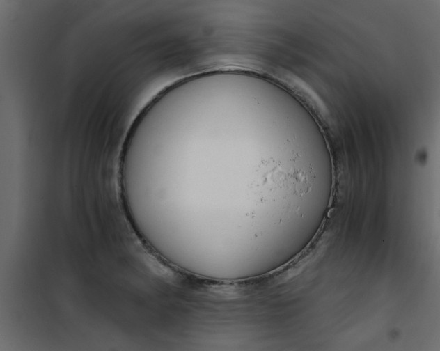 X0000101121182200807171952