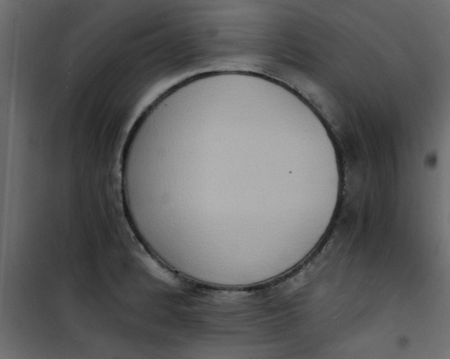 X0000101121184200807171952