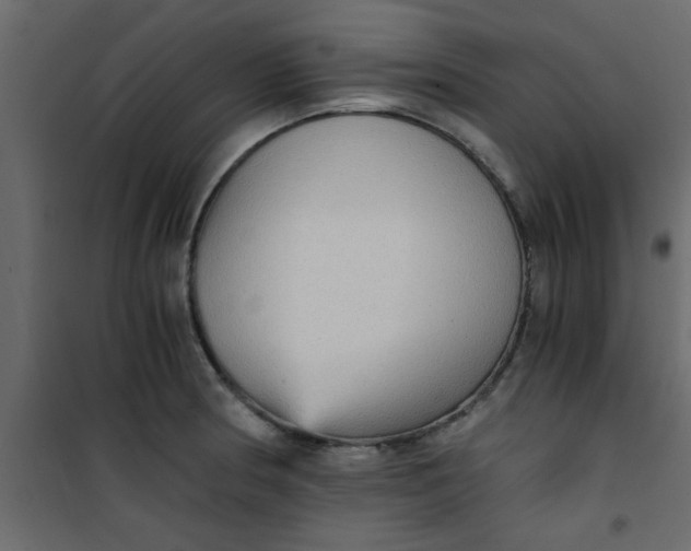 X0000101121186200807171952