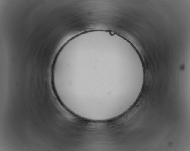 X0000101121187200807171952