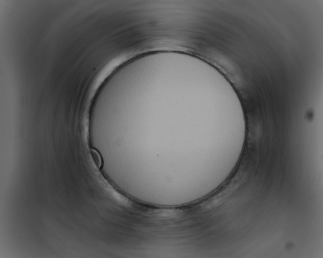 X0000101121188200807171952