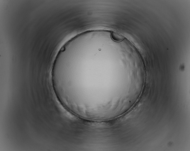 X0000101121189200807171952