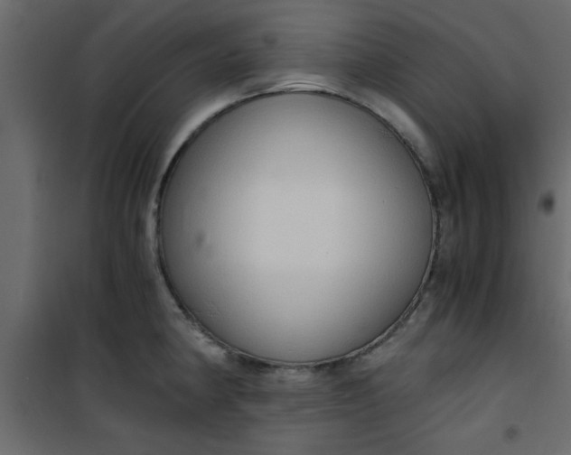 X0000101121190200807171952