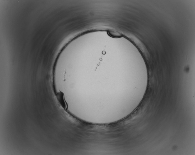 X0000101121191200807171952