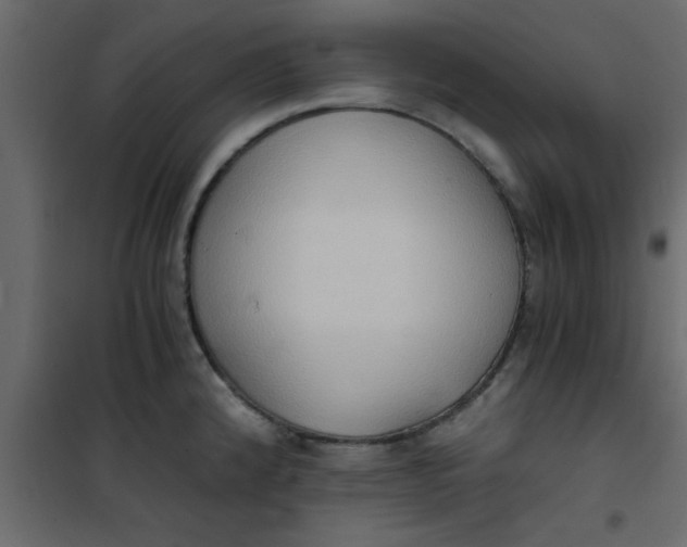 X0000101121192200807171952