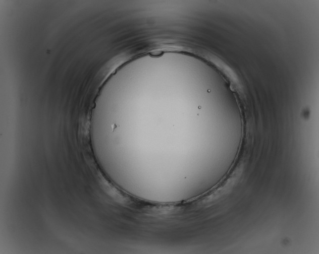 X0000101121193200807171952