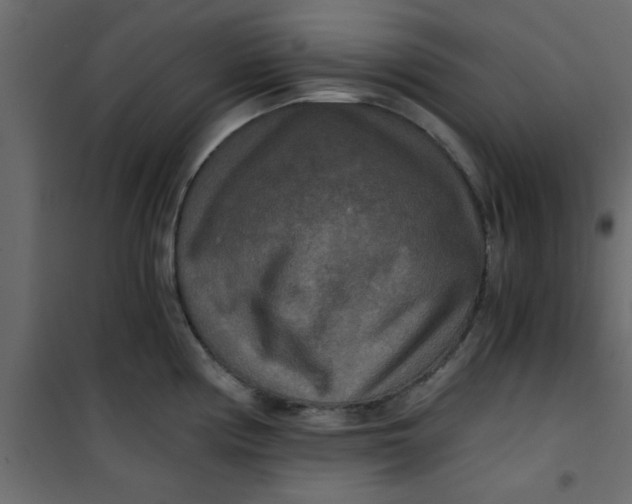 X0000101121194200807171952