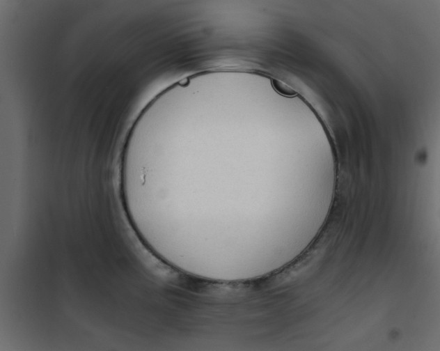 X0000101121195200807171952