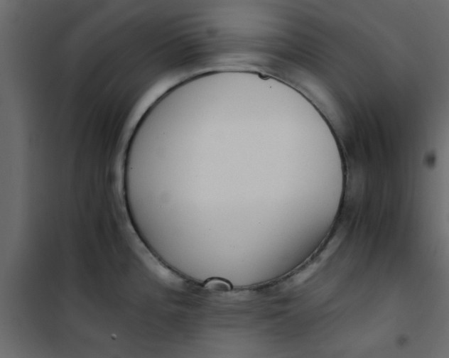 X0000101121196200807171952