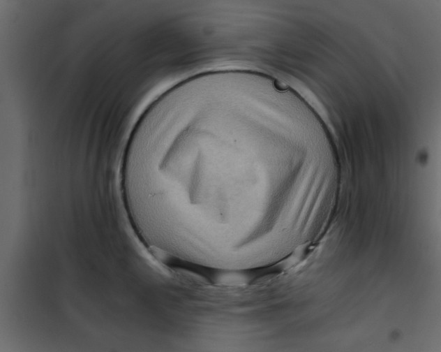 X0000101121197200807171952