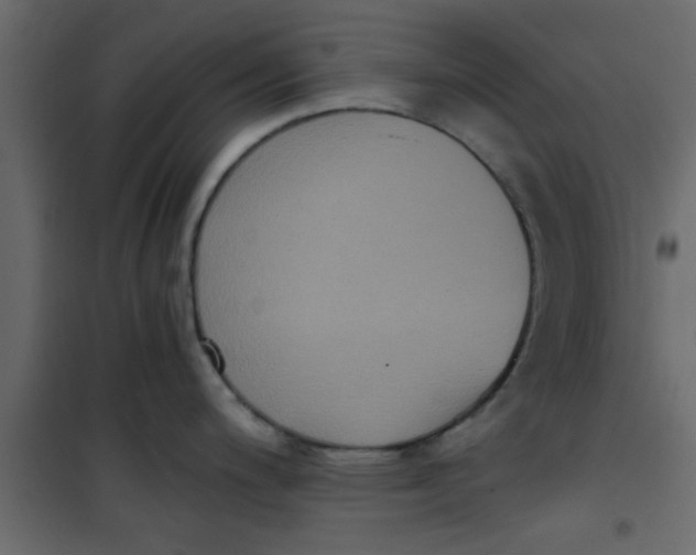 X0000101121200200807171952