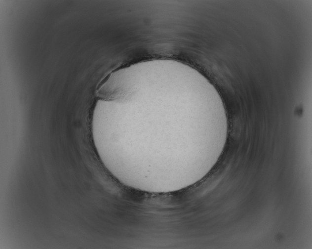 X0000101121201200807171952