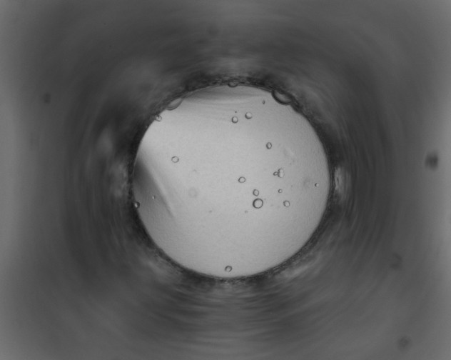 X0000101121203200807171952