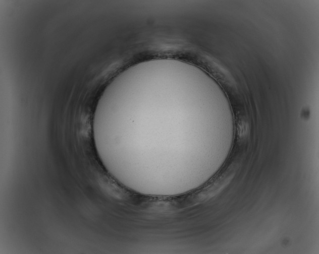 X0000101121204200807171952