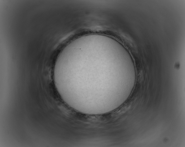 X0000101121205200807171952