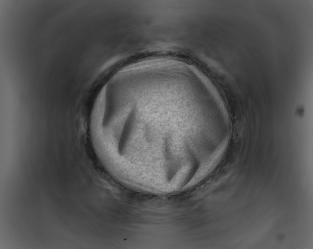 X0000101121206200807171952