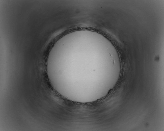 X0000101121207200807171952
