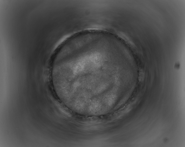 X0000101121208200807171952