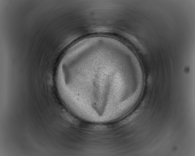 X0000101121209200807171952