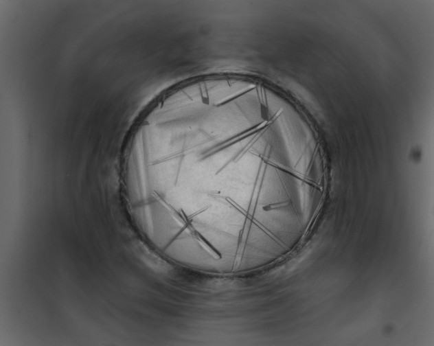 X0000101121212200807171952