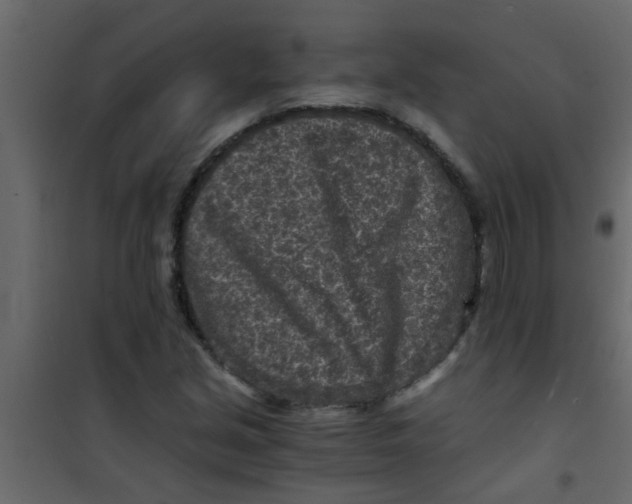 X0000101121213200807171952