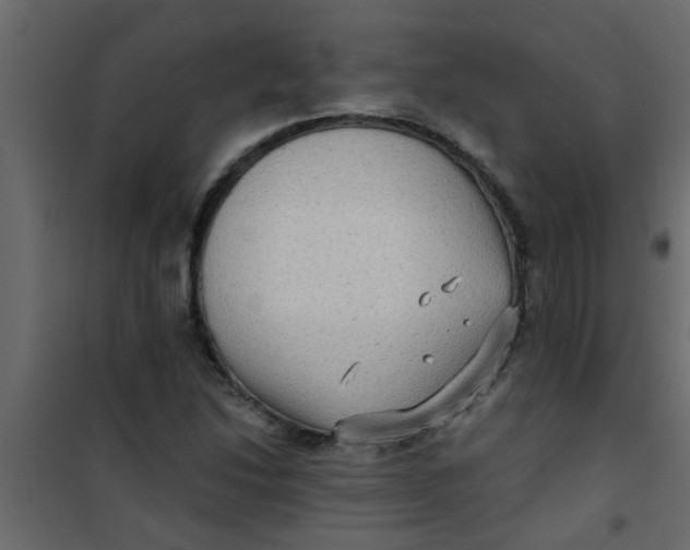 X0000101121214200807171952