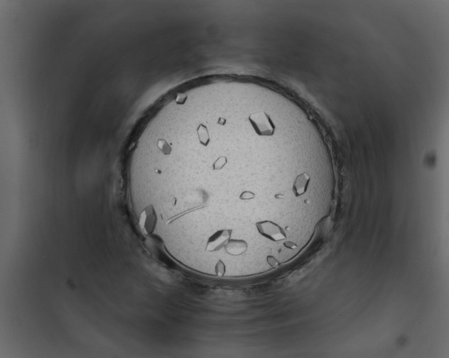 X0000101121215200807171952