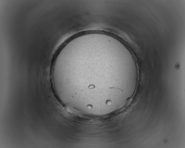 X0000101121216200807171952