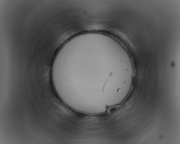 X0000101121217200807171952