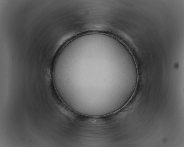 X0000101121218200807171952