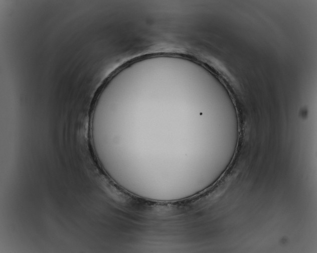 X0000101121220200807171952