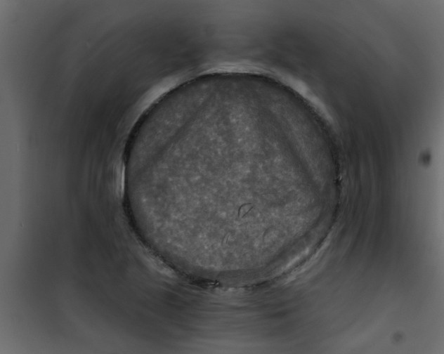 X0000101121221200807171952