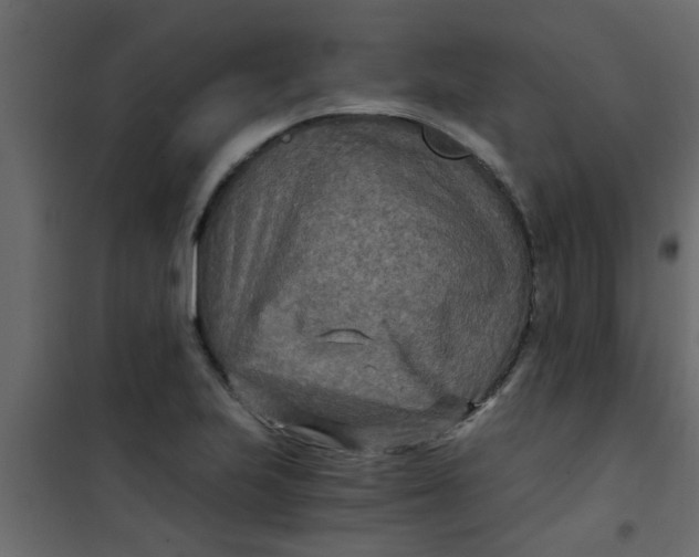 X0000101121223200807171952