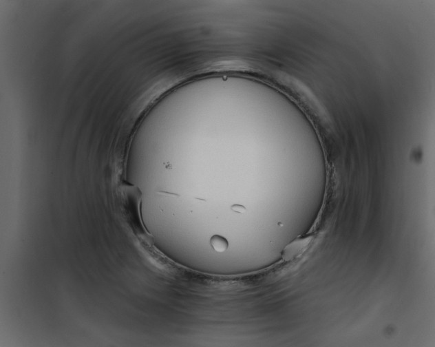 X0000101121225200807171952