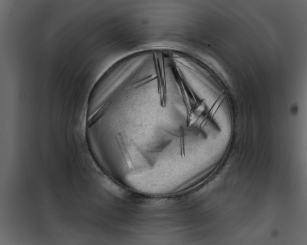 X0000101121228200807171952
