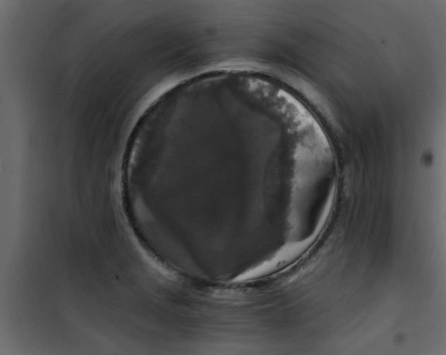 X0000101121229200807171952