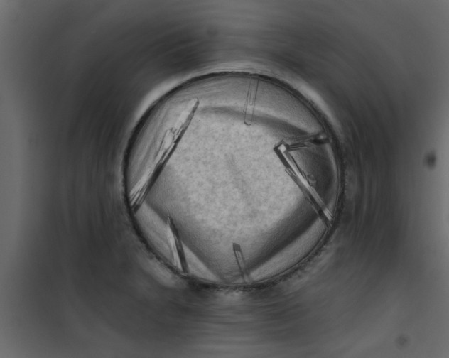 X0000101121230200807171952