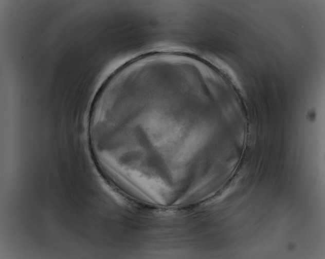 X0000101121231200807171952