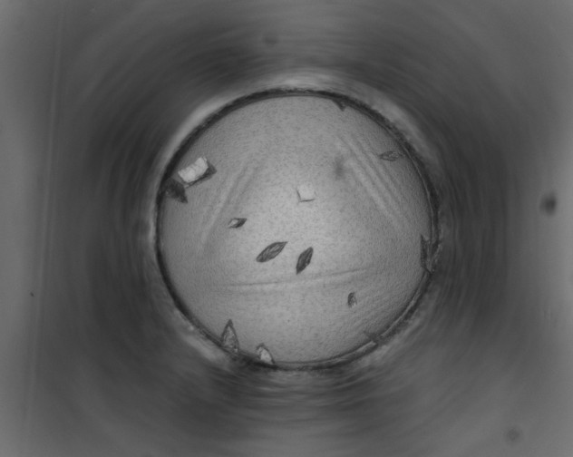 X0000101121232200807171952