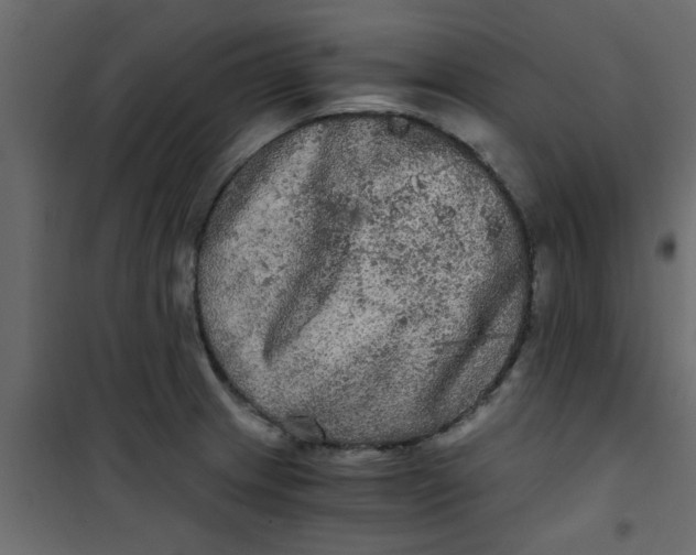X0000101121233200807171952