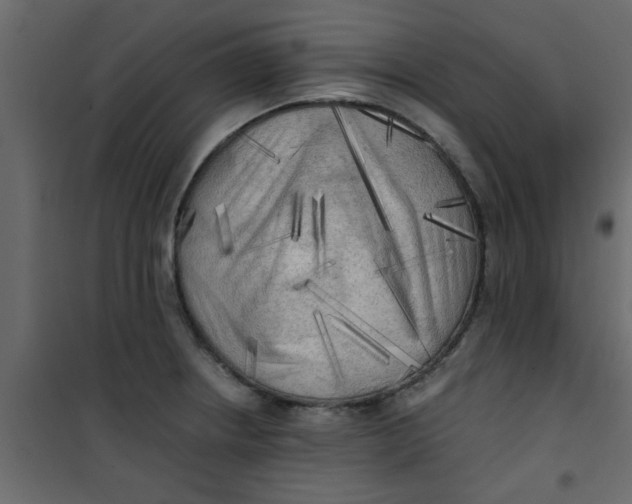X0000101121234200807171952