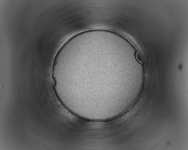 X0000101121236200807171952